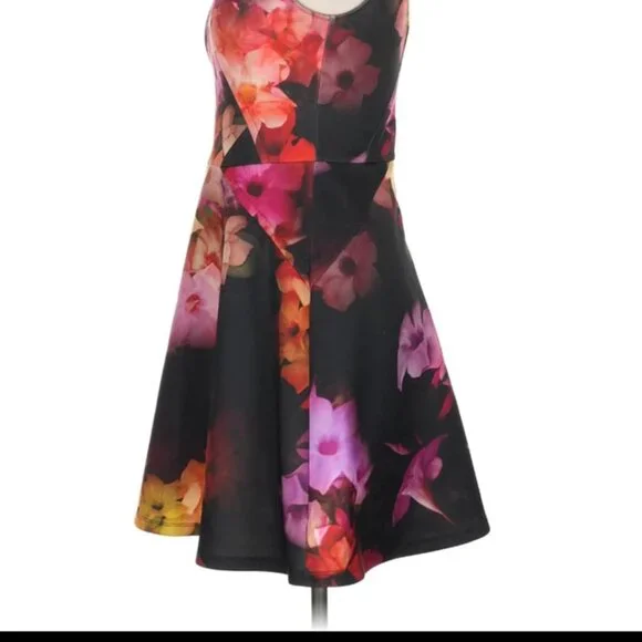 Ted Baker London Dress